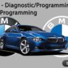Bmw Rheingold 2020 English version Diagnostic programming coding software