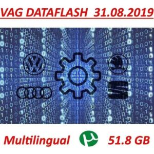 Vag Dataflash Odis 2020 español 55 Gb Reparación de la codificación de flashes multilingüe - descarga instantánea