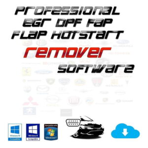 logiciel lambda Remover Professional Egr Dpf Fap Flap Hotstart 4 en un - téléchargement immédiat