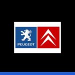 Software de diagnóstico Peugeot Citroen Pp2000 para escáner Lexia3/diagbox