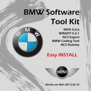Bmw standard tools inpa download Ediabas for K+dcan scanner diagnostic softwares one click install-instant download