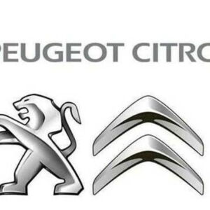 Citroen & Peugeot Service Box 2013 software de información de taller/servicio - descarga instantánea