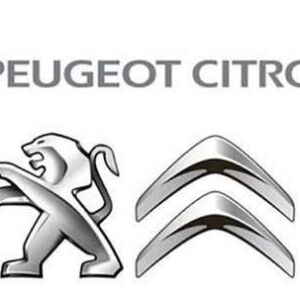 Psa Diagbox 7.85 2017 De Lexia3 Peugeot Citroen vorinstalliert auf vmware - sofortiger Download
